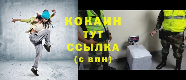 хмурый Рославль