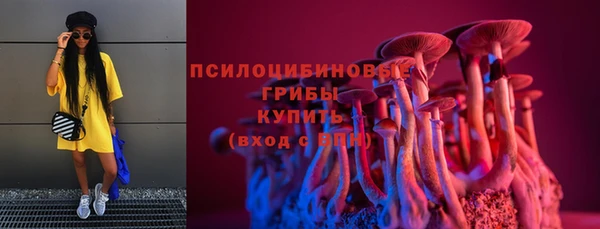гашик Абаза