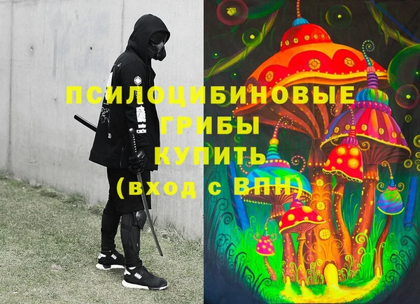 ПСИЛОЦИБИНОВЫЕ ГРИБЫ Алексин