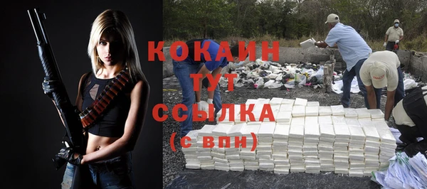 крисы Алзамай